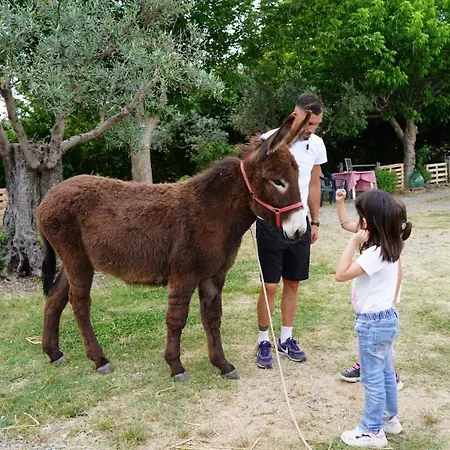 Casale Carolea Sarrotino