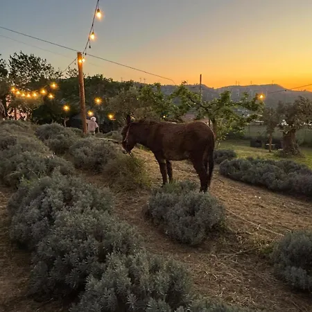 Casale Carolea Apartmán Sarrotino
