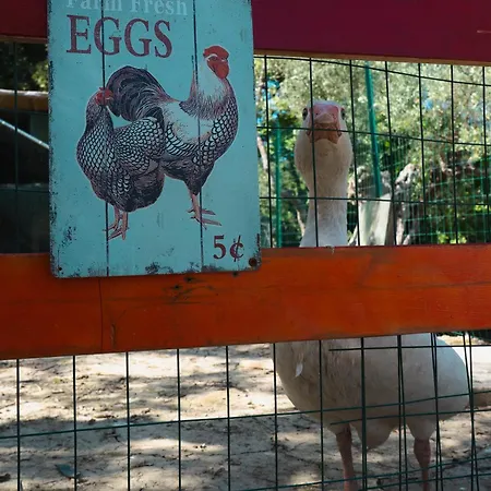 Apartmán Casale Carolea