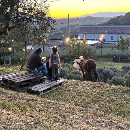 Apartment Casale Carolea *