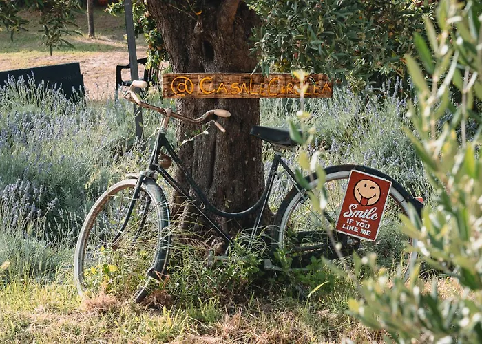 公寓 Casale Carolea