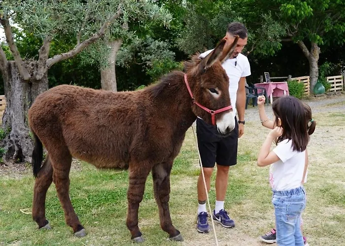 Casale Carolea Sarrotino