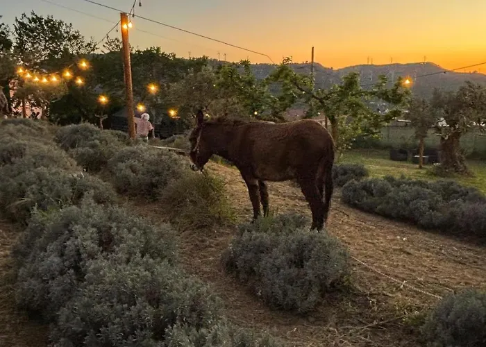 Casale Carolea 公寓 Sarrotino