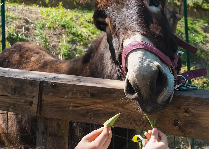 Casale Carolea * Sarrotino