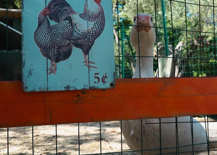 公寓 Casale Carolea