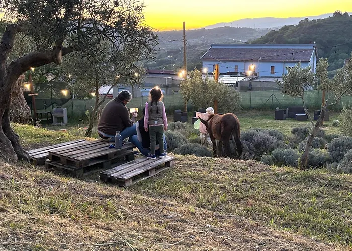 公寓 Casale Carolea *